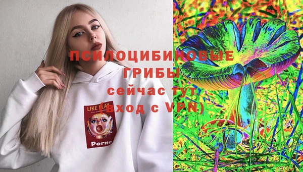 прущие крисы Верея