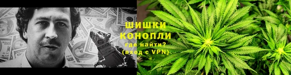 индика Тихвин